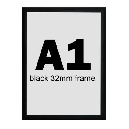 A1 Black snapper frame